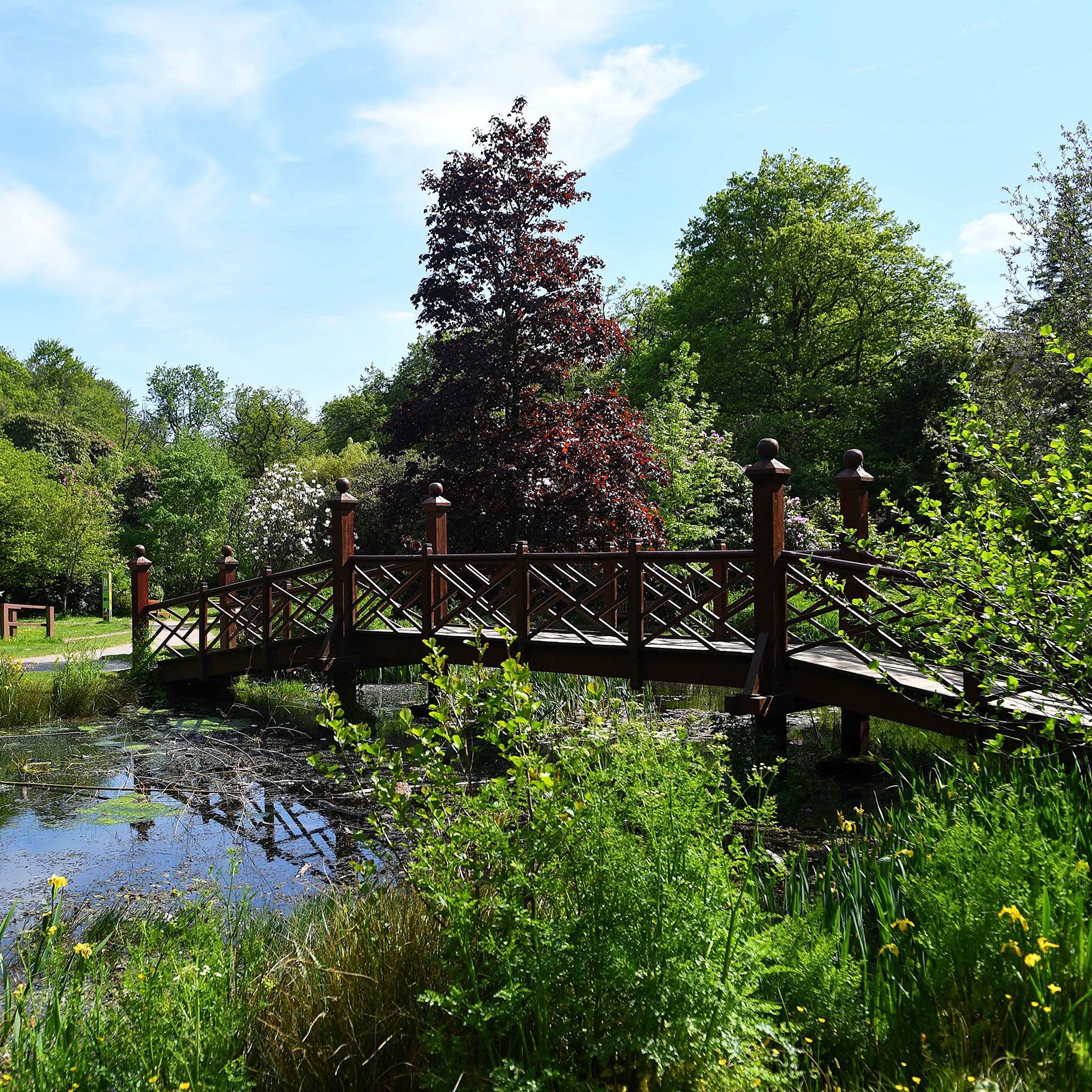 WNS_090621_Bryngarw_Country_Park_37-(3).jpg